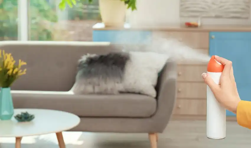 How To Get Cigarette Smell Out OF Furniture