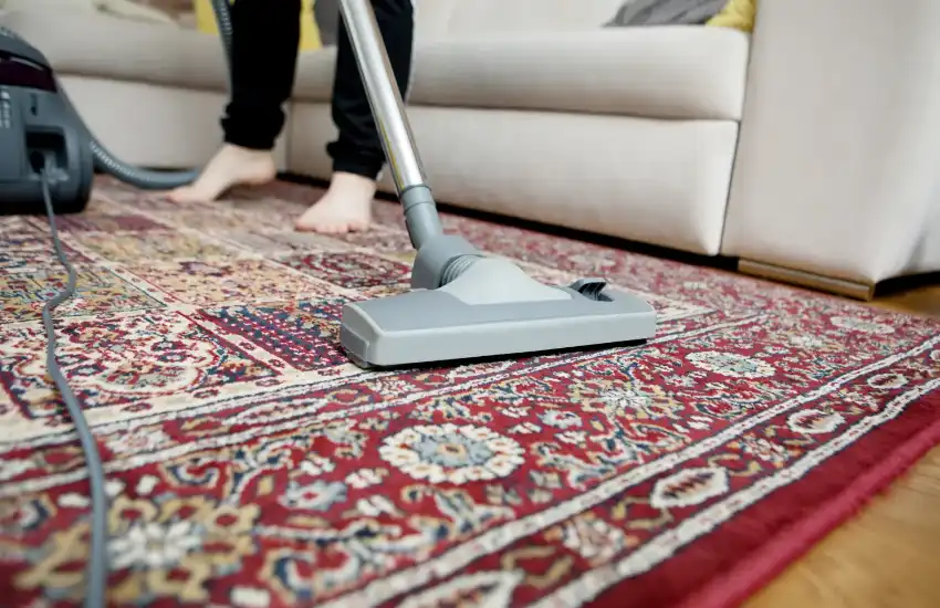 Rinse And Dry The Carpet