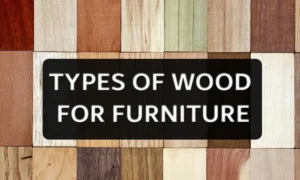 Different types of wood for furniture making